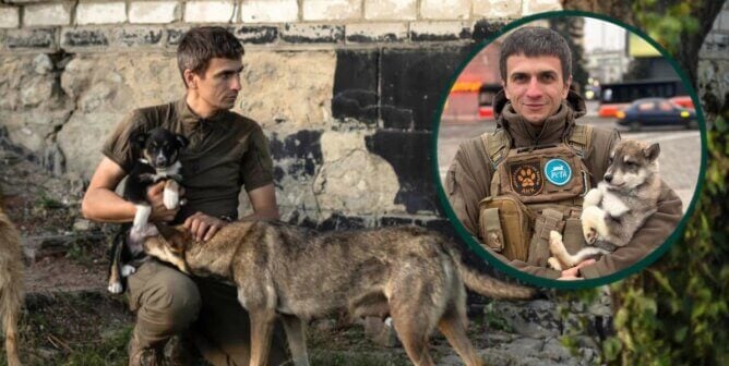 Ruslan and dogs