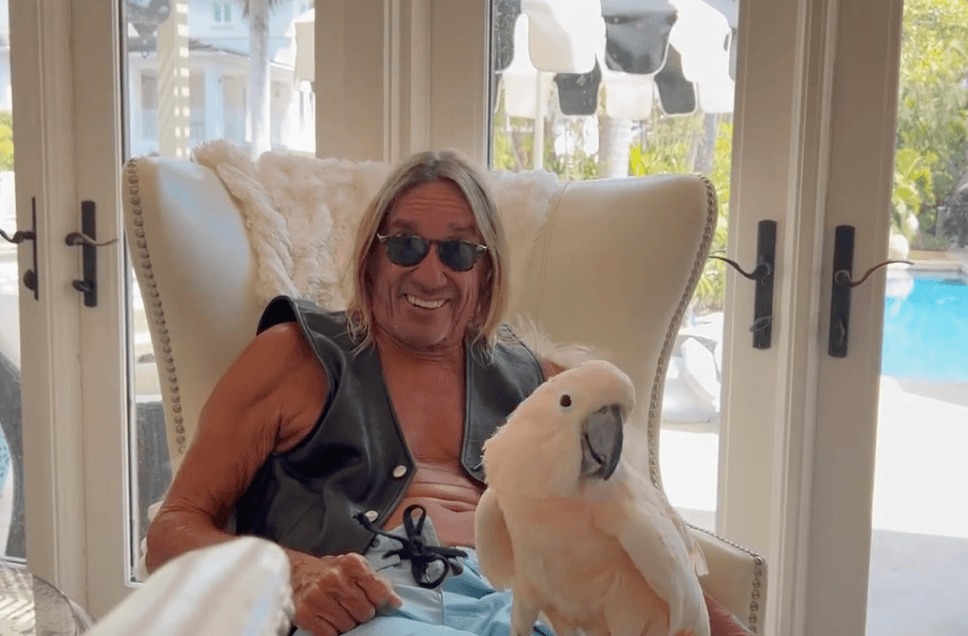 PETA vs. Petco: From Powerful Protests to an Iggy Pop Plea