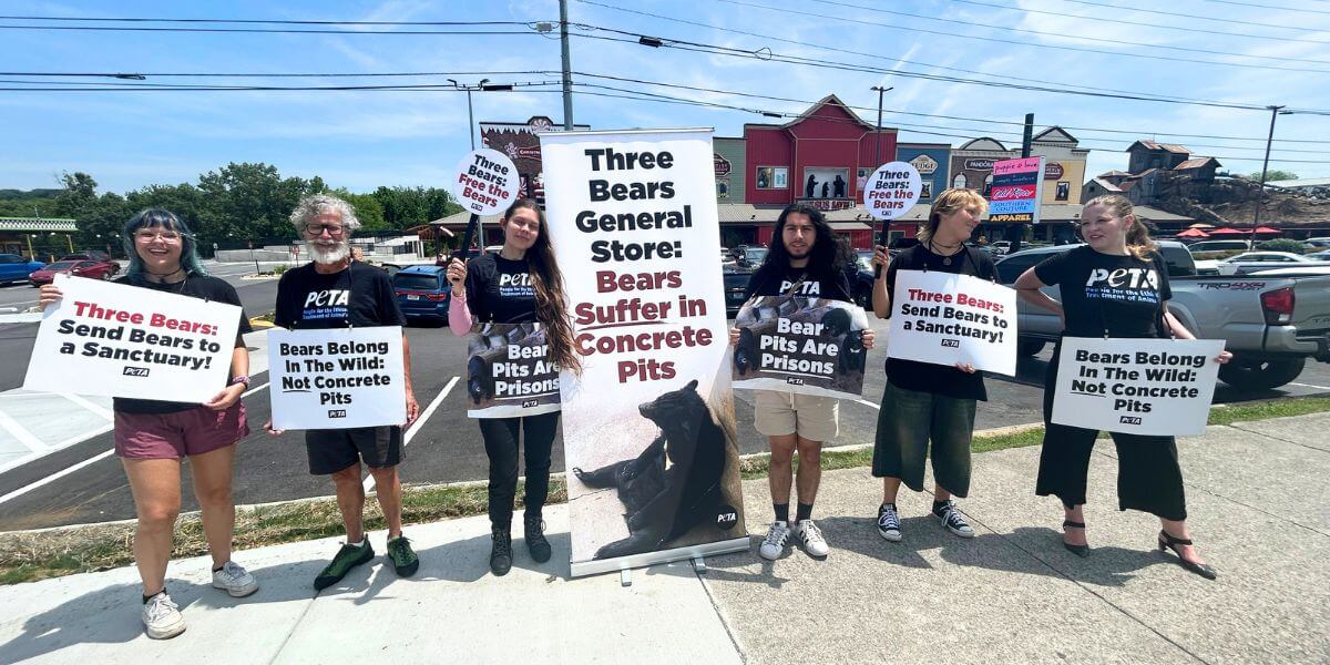 Demonstrators holding signs