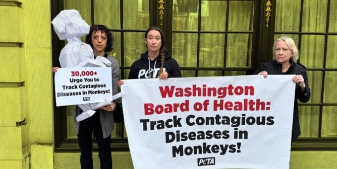 Demonstrayots holding signs that say, "30,000+ Urge You to Track Contagious Diseases in Monkeys!" and "Washington Board of Health: Track Contagious Diseases in Monkeys!"