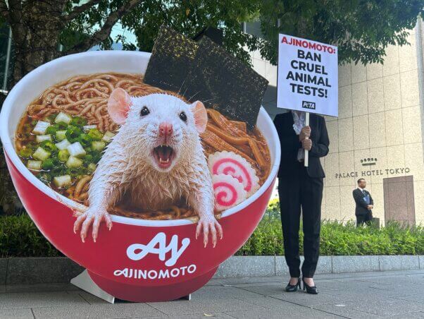 Ajinomoto demo
