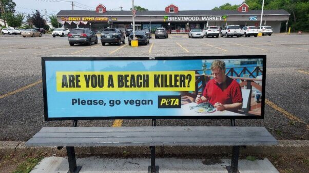 are you a beach killer ad