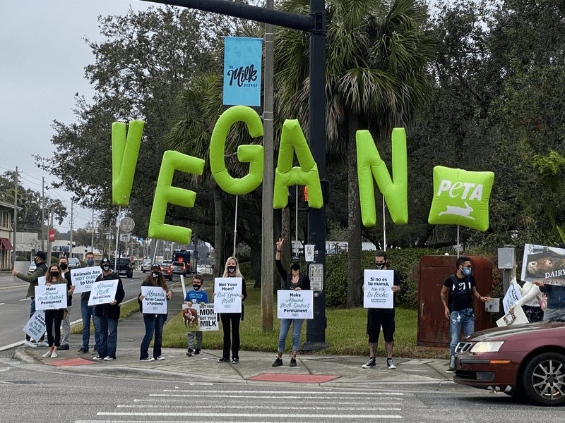 Kick Off the World Cup with Free Vegan Jerky From PETA Ahead of USA Match