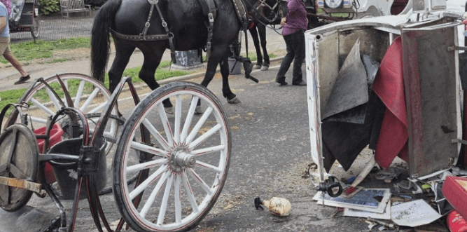 Aftermath of fatal horse-drawn carriage incident in NYC