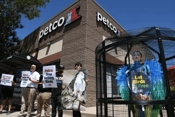 Protesting the sale of parakeets outside a Petco store.