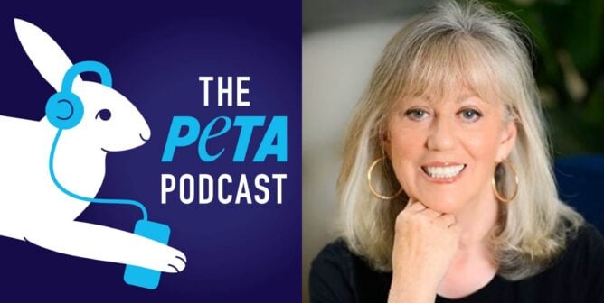 PETA podcast logo and photo of author and investigative journalist Gail Eisnitz