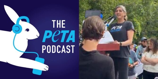 PETA Podcast logo and a photo of Dr. Alka Chandna giving a speech at Marshall Bioresources