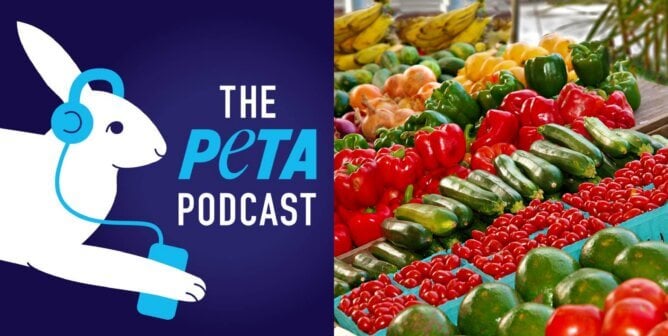 Podcast logo and photo of colorful fruits and vegetables