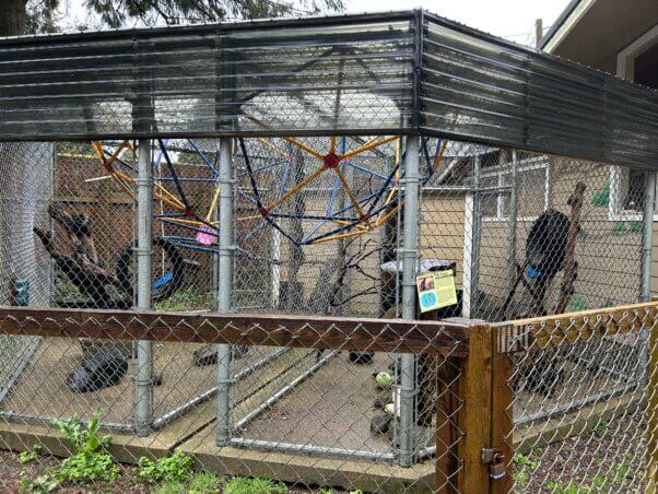 "Before" photo of vervet cages at West Coast Game Park Safari