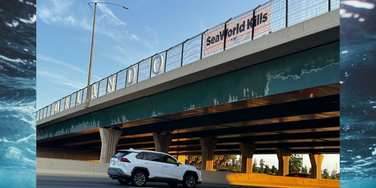 Orlando SeaWorld Kills banner