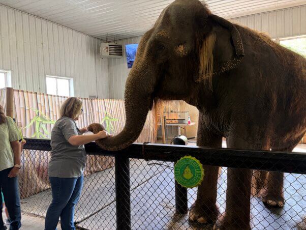 Cindy public feeding