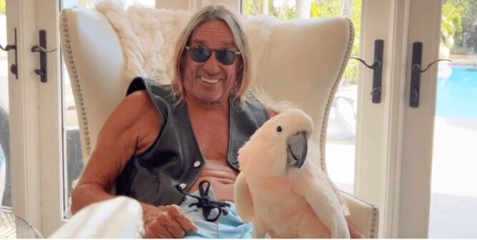 Iggy pop and a cockatoo