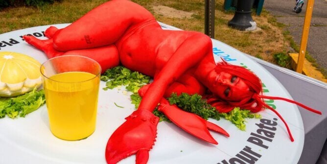 Lobster performer on a plate