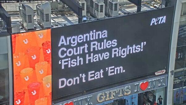 Fish have Rights