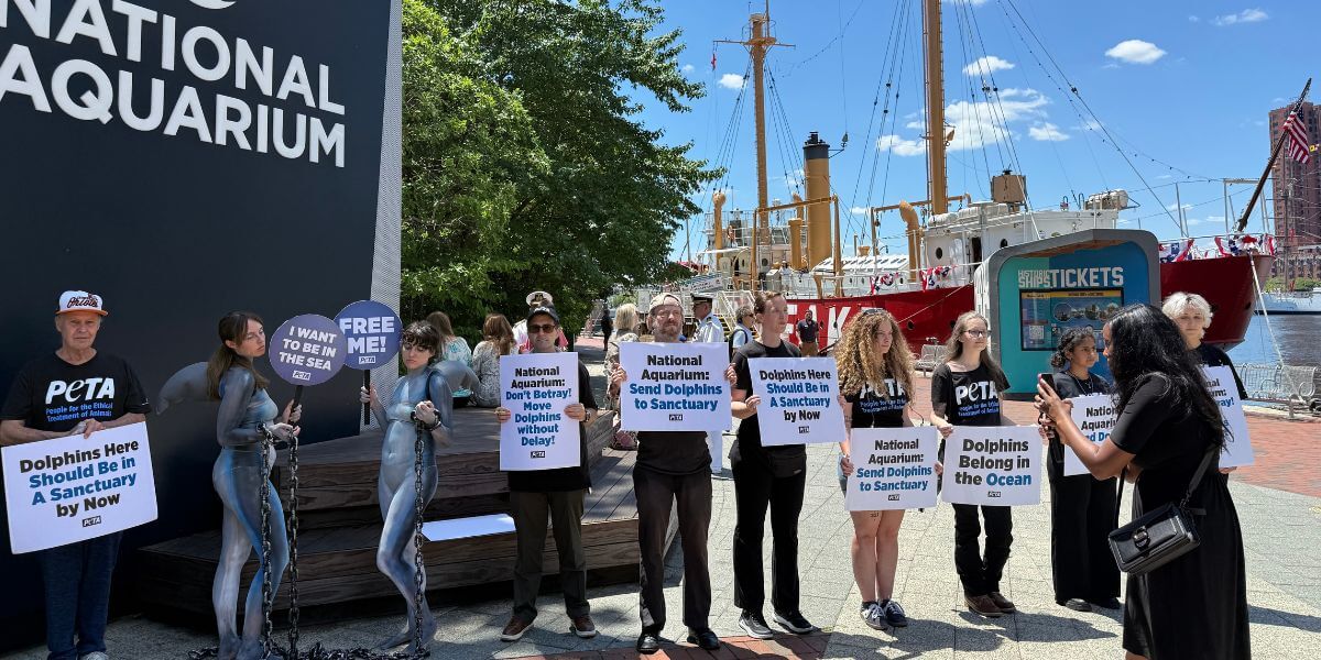 Baltimore Aquarium demo