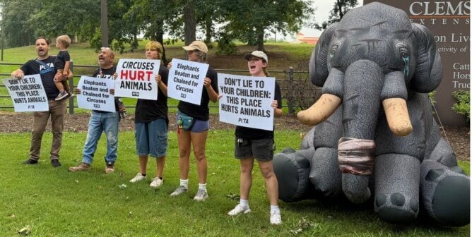 Demonstrators holding signs