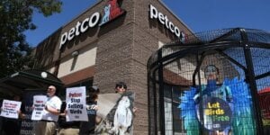 Petco demo with a costumed 'bird' and people holding signs