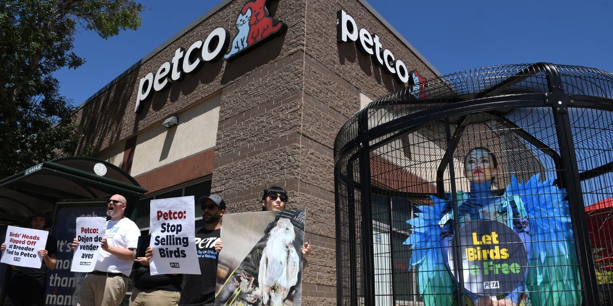 Petco demo with a costumed 'bird' and people holding signs
