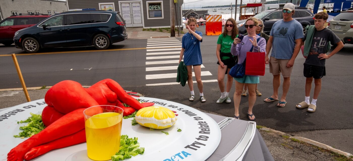 Person in a lobster costume on a plate