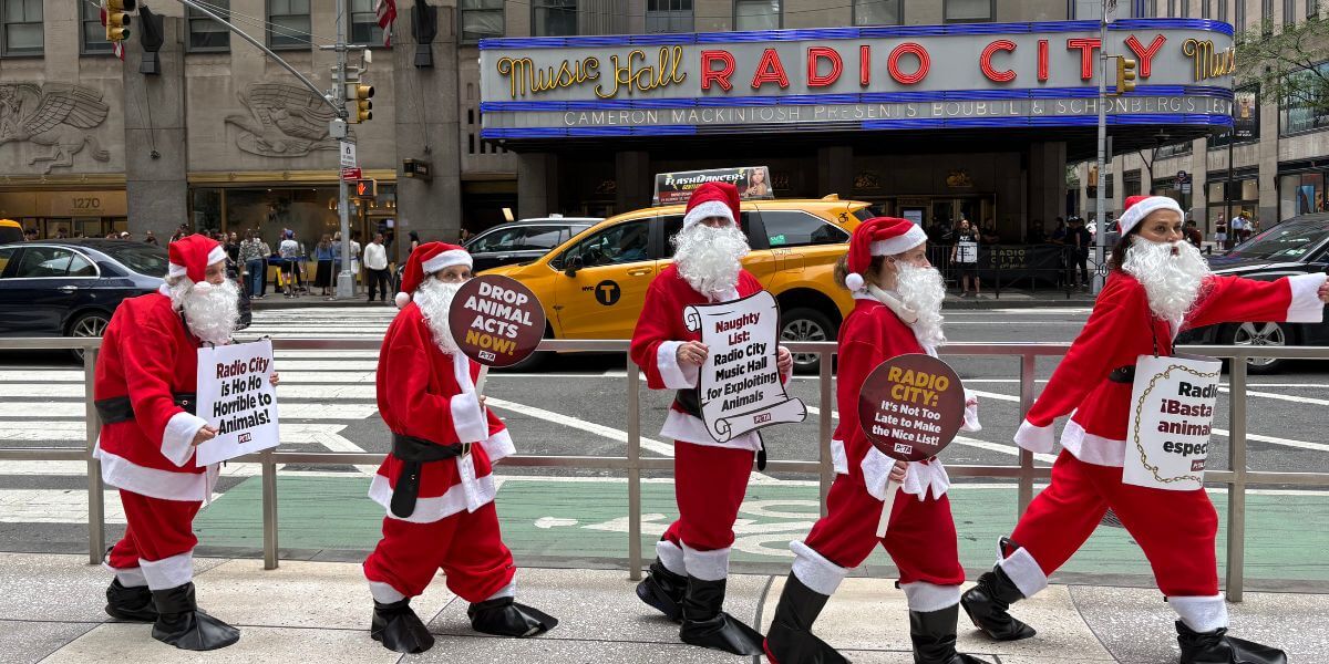 Santa patrol in front of Radio City