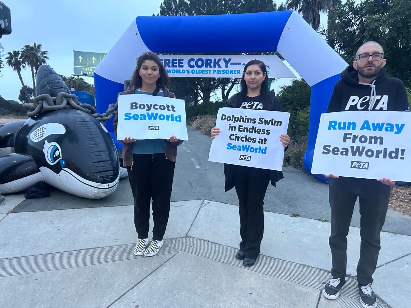 Activists at a SeaWorld demonstration in San Diego