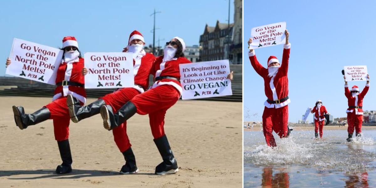 Costumed Santas on the beach