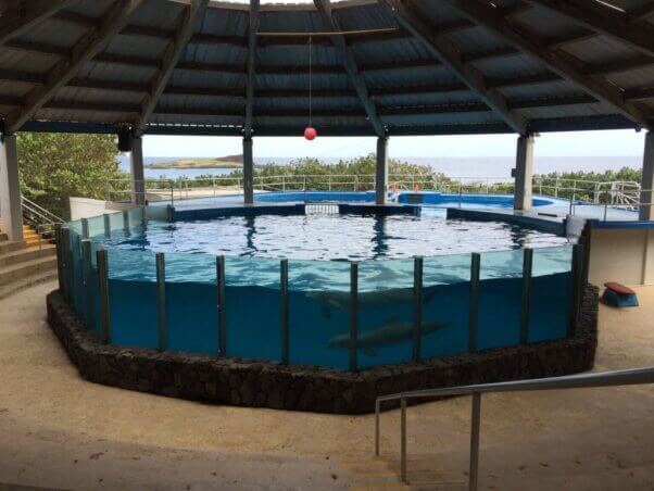 Sterile dolphin tank at Sea Life Park
