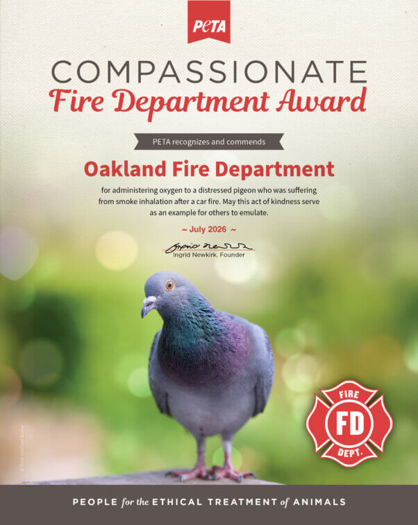 Compassionate Fire Department Award for Oakland Fire Department