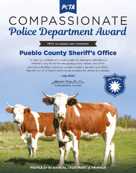 Pueblo Co. Sheriff Scores PETA Award for Asking Ranchers to Give Animals a Fighting Chance to Flee