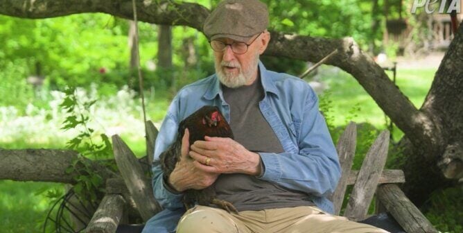 Screenshot from a PETA video featuring James Cromwell and Hermione the rescued hen