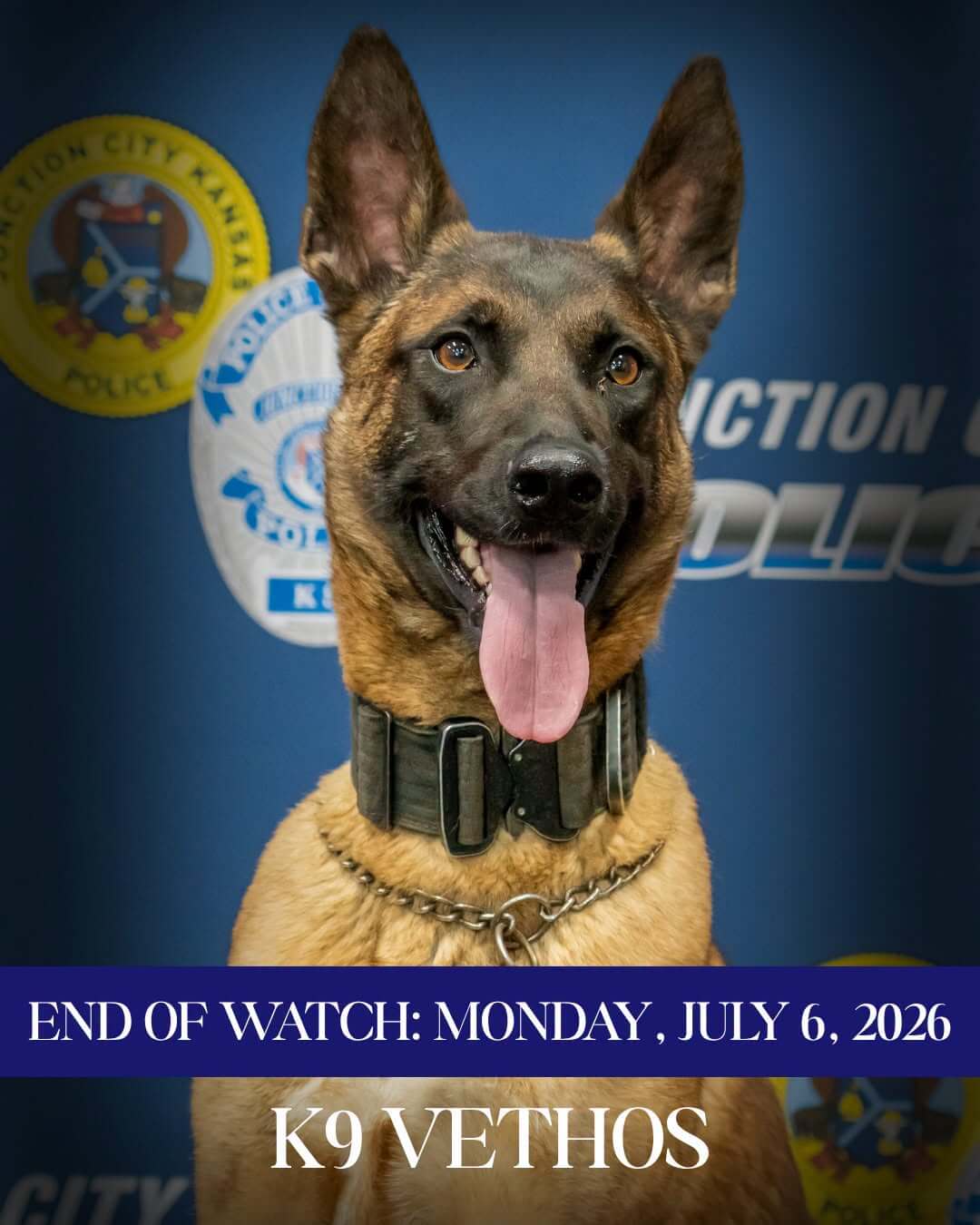 K-9’s Hot Car Death Prompts PETA Plea to Junction City Police: Replace Dogs With Technology