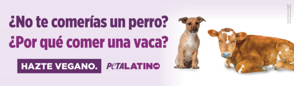 PETA Latino billboard