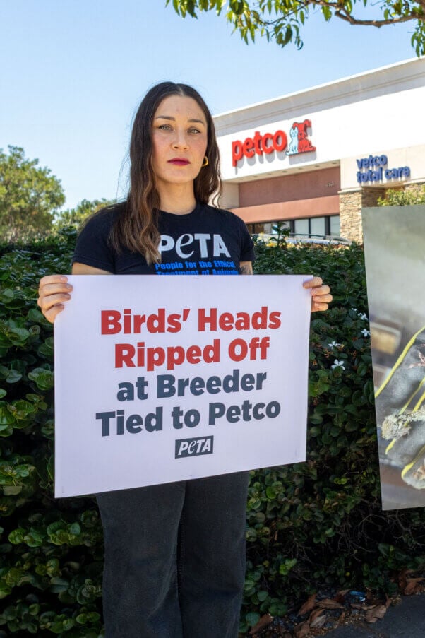Petco Demo