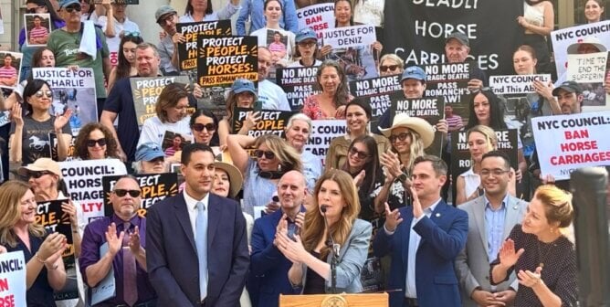 hearing for romanch's law