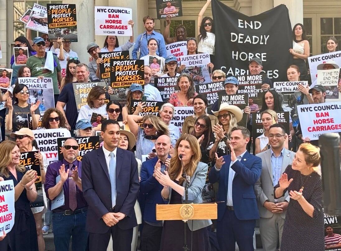 Major Step Forward for Horses: Horse-Drawn Carriage Ban Surges Forward in New York City