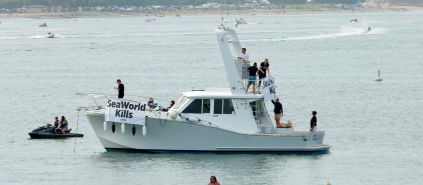 SeaWorld Kills