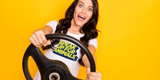 Portrait of pretty cheerful amazed wavy-haired girl holding steering wheel having fun isolated over bright yellow color background
