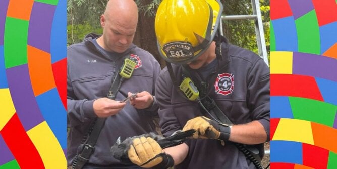 Two firefighters holding a pigeon