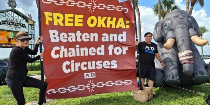 Activists holding up a banner for Okha