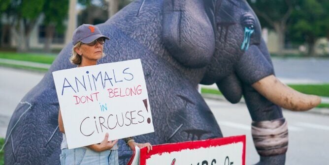 Crying inflatable elephant with a protester