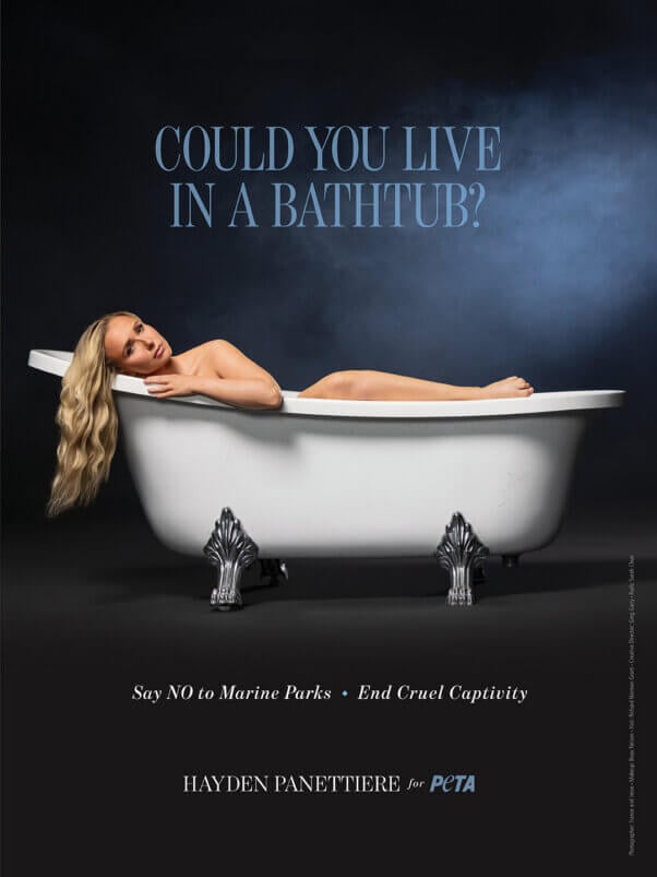 Hayden Panettiere in a bathtub