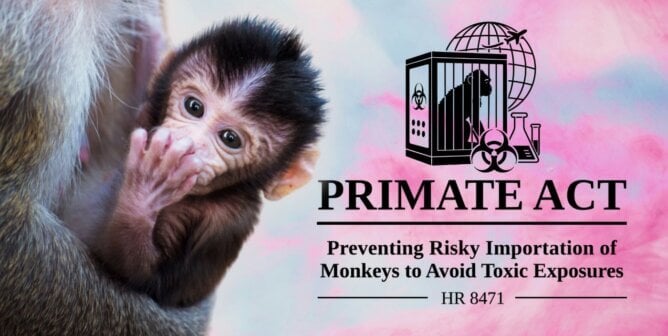 PRIMATE Act logo