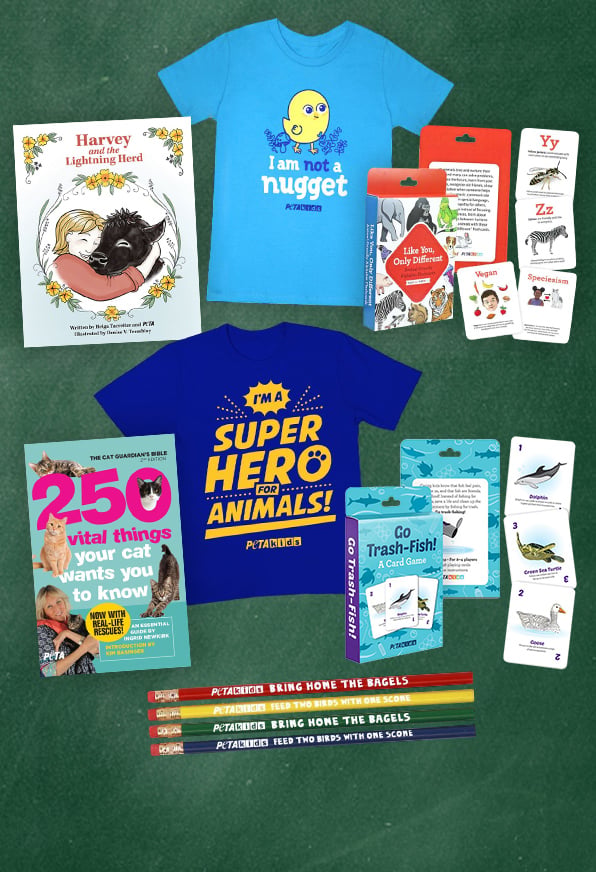 Various back-to-school themed items for sale in the PETA Shop