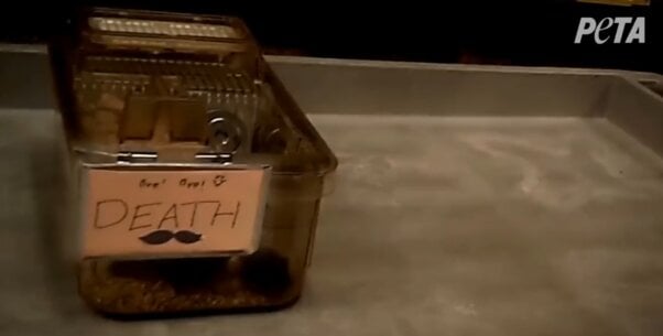 Death box