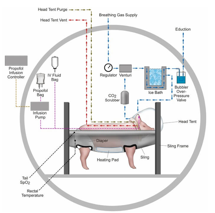 Figure showing pig in decompression chamber