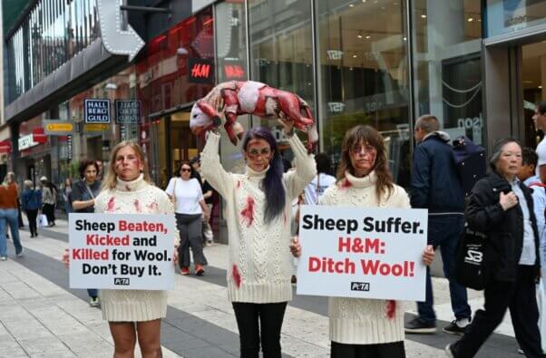 PETA demonstrates outside H&M in Stockholm.