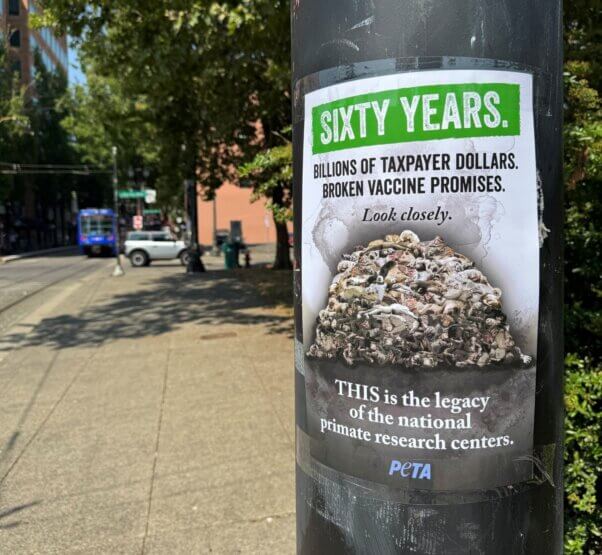 Sixty years leaflet