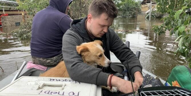 Ukraine rescue team with dog