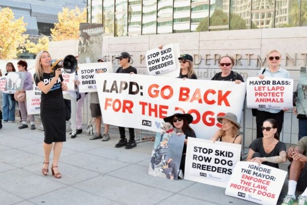 peta demonstration callling to help dogs on skid row