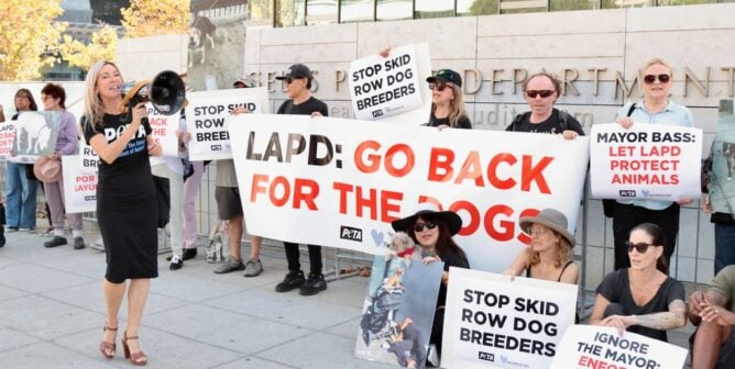 peta demonstration callling to help dogs on skid row